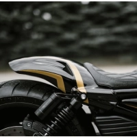 Lèche roue 'oval court' harley v-rod 2007-2017