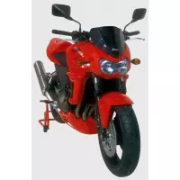 Bulle ermax kawasaki z 750 2004-2006