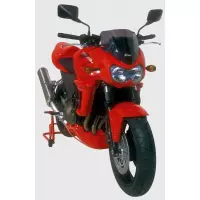 Bulle ermax kawasaki z 750 2004-2006