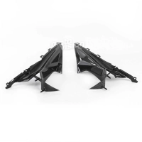 Flancs hauts de carénage carbone vernis pour bmw s1000rr 2019-2020