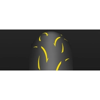 Pneu avant dunlop gp racer d212 piste/route 17' 120/70 zr 17