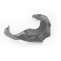 Cache sous tête de fourche carbone ducati streetfighter v4/v4s 2020-2021