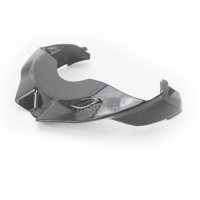 Cache sous tête de fourche carbone ducati streetfighter v4/v4s 2020-2021