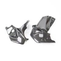 Paire avant flancs de carénage carbone bmw r1200gs 2020 -