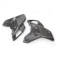 Paire avant flancs de carénage carbone bmw r1200gs 2020 -