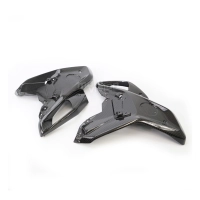 Paire avant flancs de carénage carbone bmw r1200gs 2020 -