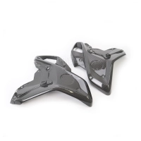 Paire avant flancs de carénage carbone bmw r1200gs 2020 -