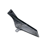 Protection de chaine carbone mv agusta brutale f4 2010