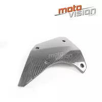 Ecopes centrales carbone vernis kawasaki ninja h2 15/17