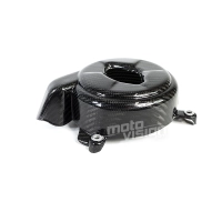 Protection moteur gauche carbone vernis ducati panigale v4