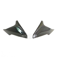 Paire de flancs carbone vernis bmw s1000r 2018-