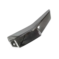 Paire d'écopes de radiateur carbone ducati streetfighter v4 /v4s 2020-2021