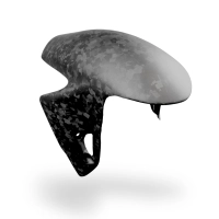 Garde boue carbone ducati panigale v2 v4 v4r v4s streetfighter v4