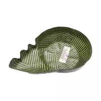 Cache alternateur carbone kawasaki z750 2007-2012