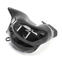 Protection de pot carbone vernis ducati panigale v4 v4s