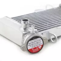 Radiateur aluminium pour yamaha mt-125 2014-2019