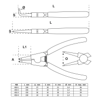 450_01(1).png