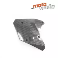 Ecopes centrales carbone vernis kawasaki ninja h2 15/17