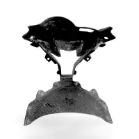 Tête de fourche partie centrale carbone bmw s1000rr 2015-2018