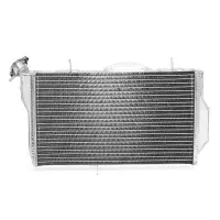Radiateur aluminium pour honda cbr 1100 xx blackbird 1999-2007