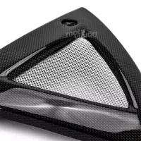 Ecopes de radiateur carbone suzuki b-king