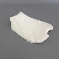 Coque monoposto piste ducati panigale v4