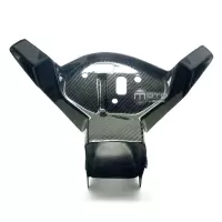 Araignée avec conduit d'air en carbone bmw s1000rr