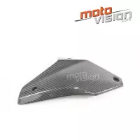 Ecopes centrales carbone vernis kawasaki ninja h2 15/17