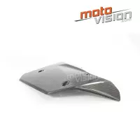 Ecopes centrales carbone vernis kawasaki ninja h2 15/17