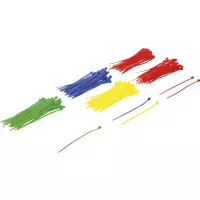 80875.webp