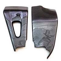 Paire de protection de bras oscillant carbone honda cbr 600 03-04