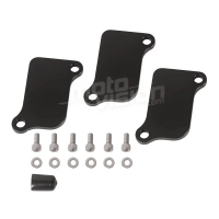 Plaque de suppression antipollution aluminium cnc triumph speedtriple 1050 2005-2010