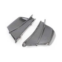 Ailettes carbone vernis pour bmw s1000rr s1000r