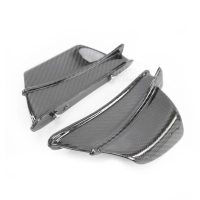Ailettes carbone vernis pour bmw s1000rr s1000r