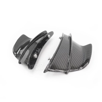 Ailettes carbone vernis pour bmw s1000rr s1000r