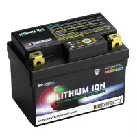 Batterie skyrich lithium hjtz5s-fpz 2.jpg