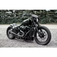 Kit d'abaissement de fourche avant à suspension progressive 2018-2025 m8 softail