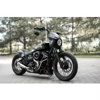 Kit de carénage pour m8 softail street bob fxbb/s et softail standard fxst 2018-202-b86a-41df-80ae-a6050535f485.jpg