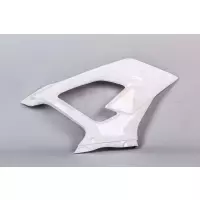 Flanc droit poly bikesplast bmw s1000rr 2019 - 2020