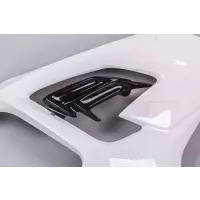 Flanc droit poly bikesplast bmw s1000rr 2019 - 2020
