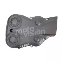 Caches courroies carbone ducati streetfighter