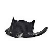 Lèche roue carbone kawasaki zx10r 2011-2019