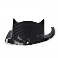 Lèche roue carbone kawasaki zx10r 2011-2019