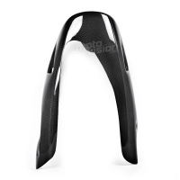 Sabot carbone ducati monster 1994-2007