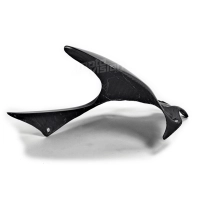 Lèche roue carbone ducati monster 696