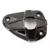 Protection de pot carbone kawasaki zx10r 2008-2010