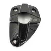 Protection de pot carbone kawasaki zx10r 2008-2010
