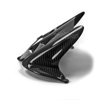 Lèche roue carbone kawasaki zx6r 2009-..