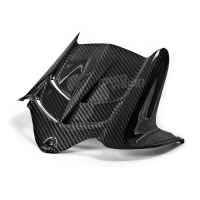 Lèche roue carbone kawasaki zx6r 2009-..