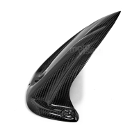 Lèche roue carbone yamaha fz8